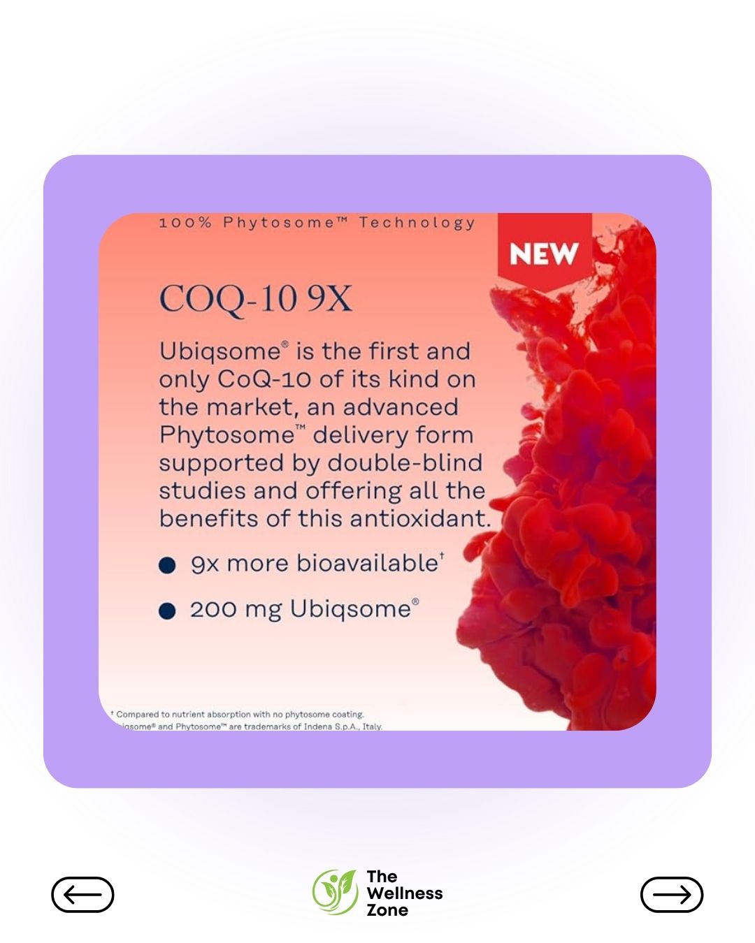 🌿 Solaray COQ-10 Phytosome, 200 mg, 30 VegCaps