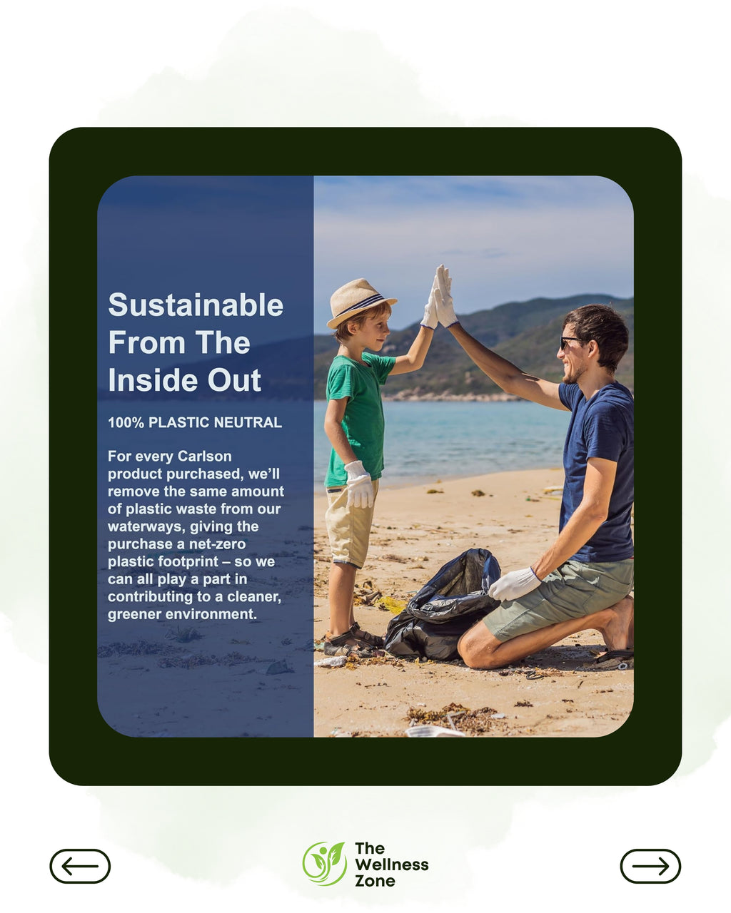 🌿 Carlson, Wild Norwegian, Cod Liver Oil Gems, 1,000 mg, 100 Soft Gels