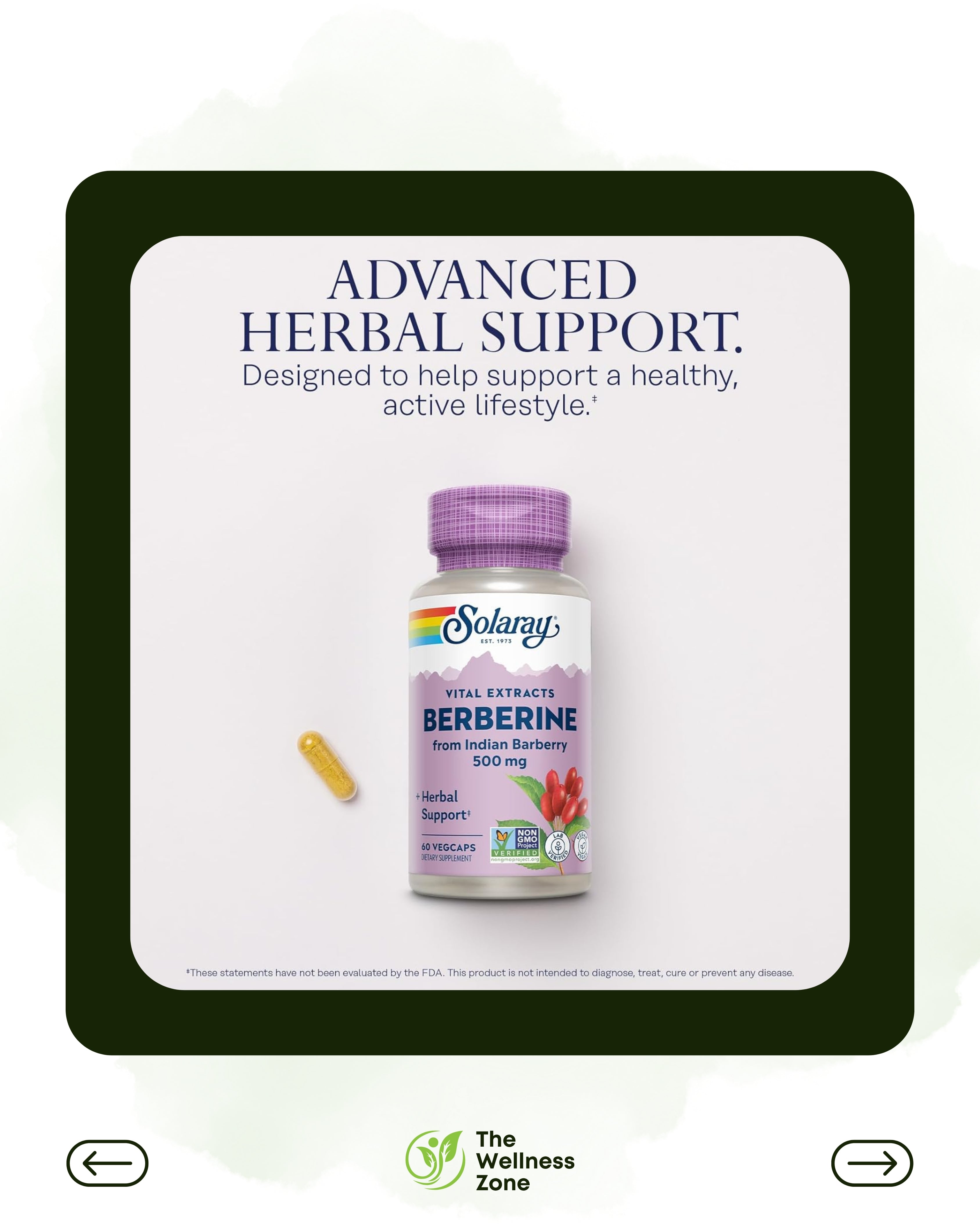 🌿 Solaray, Vital Extracts, Berberine, 500 mg, 60 VegCaps