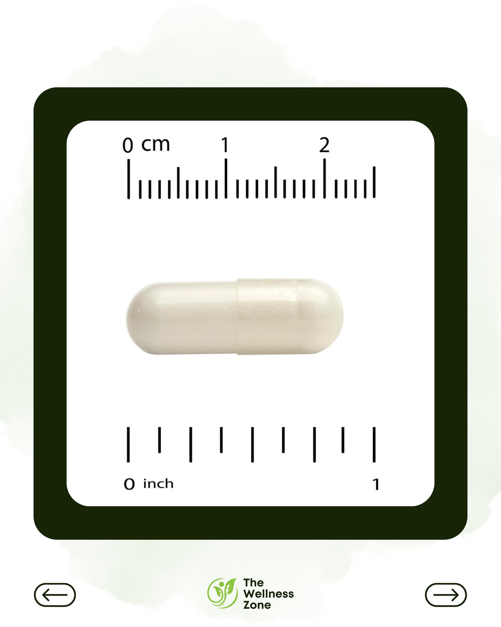 California Gold Nutrition, Acetyl-L-Carnitine, 500 mg, 60 Veggie Capsules