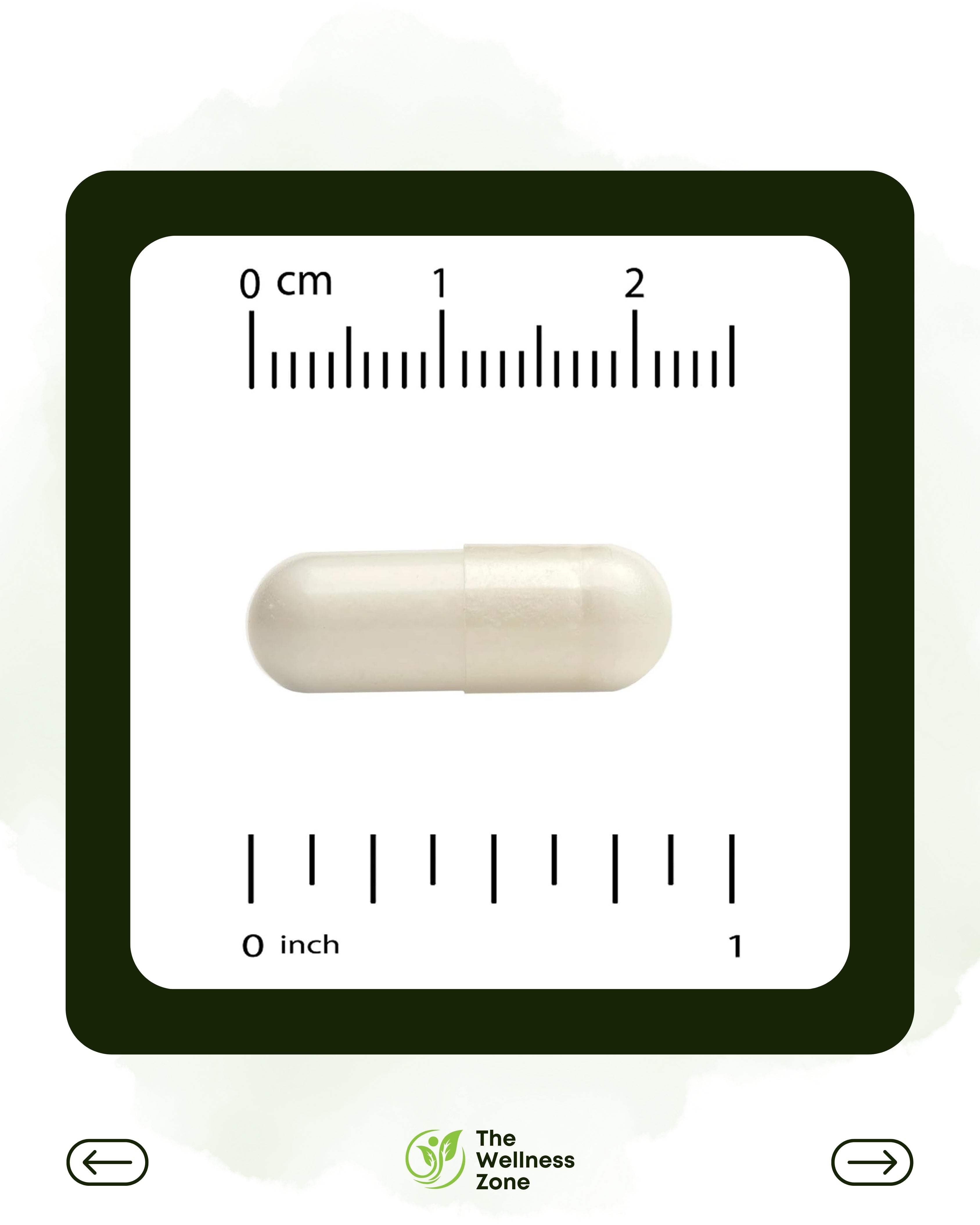 California Gold Nutrition, Acetyl-L-Carnitine, 500 mg, 60 Veggie Capsules