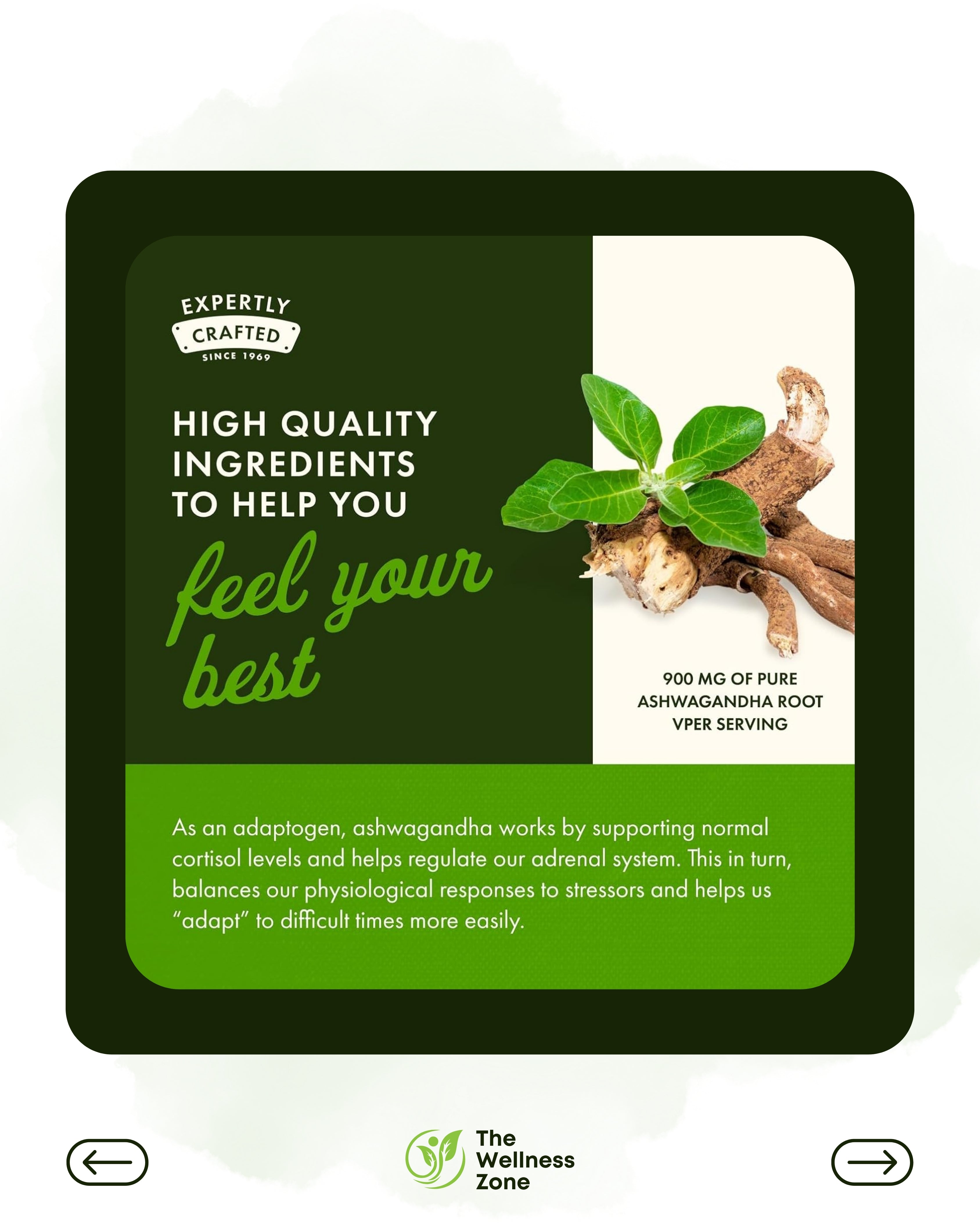 🌿 Swanson, Full Spectrum® Ashwagandha, 100 Vegan Capsules (450 mg per Capsule)