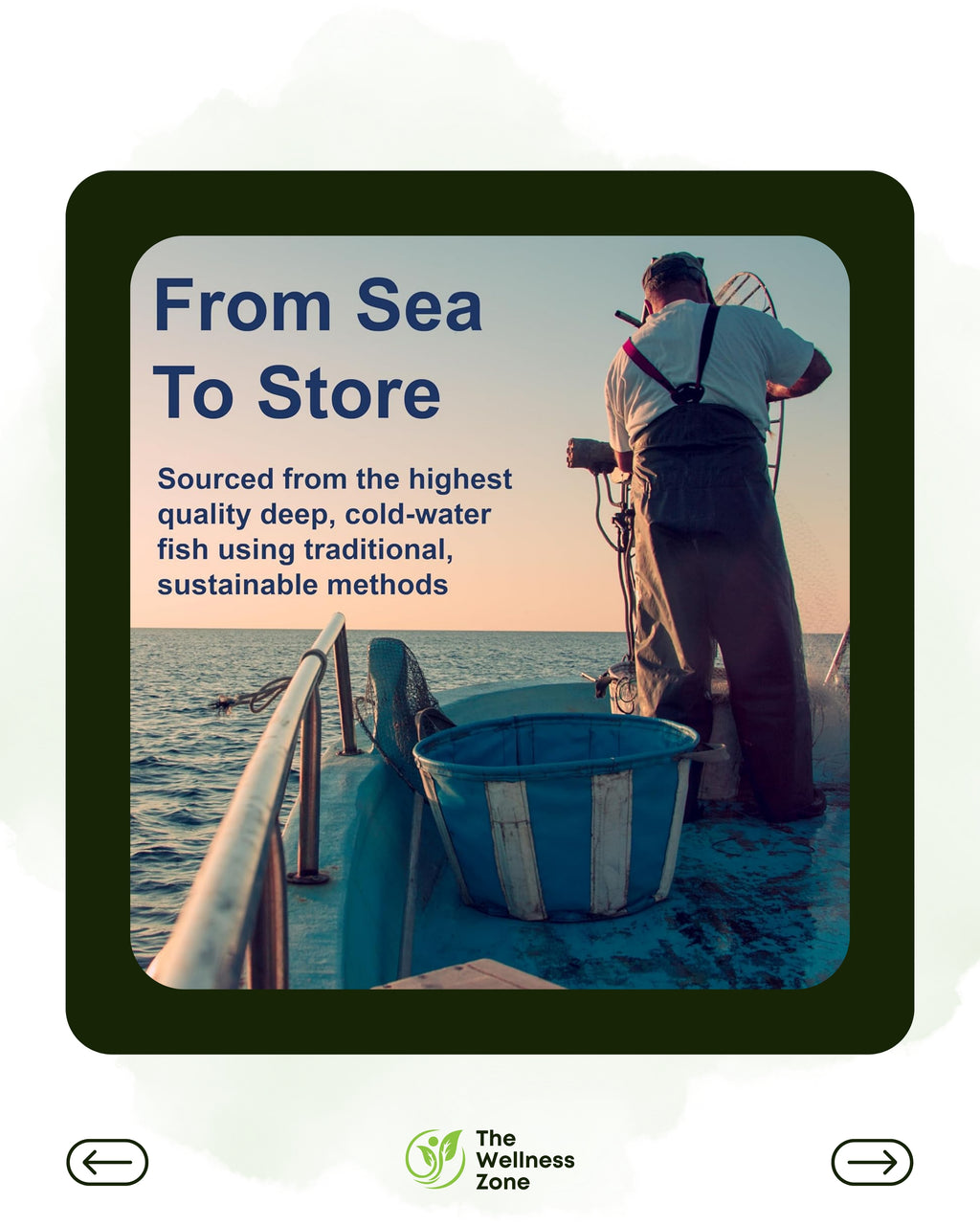 🌿 Carlson, Wild Norwegian, Cod Liver Oil Gems, 1,000 mg, 100 Soft Gels